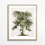 Maľba PALM EGZOTIC PLANT 40x50 cm