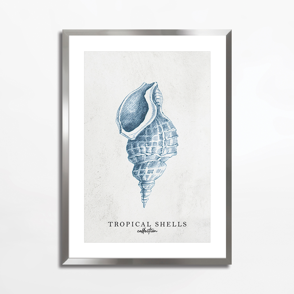 Maľba TROPICAL SHELLS I 50x70 cm