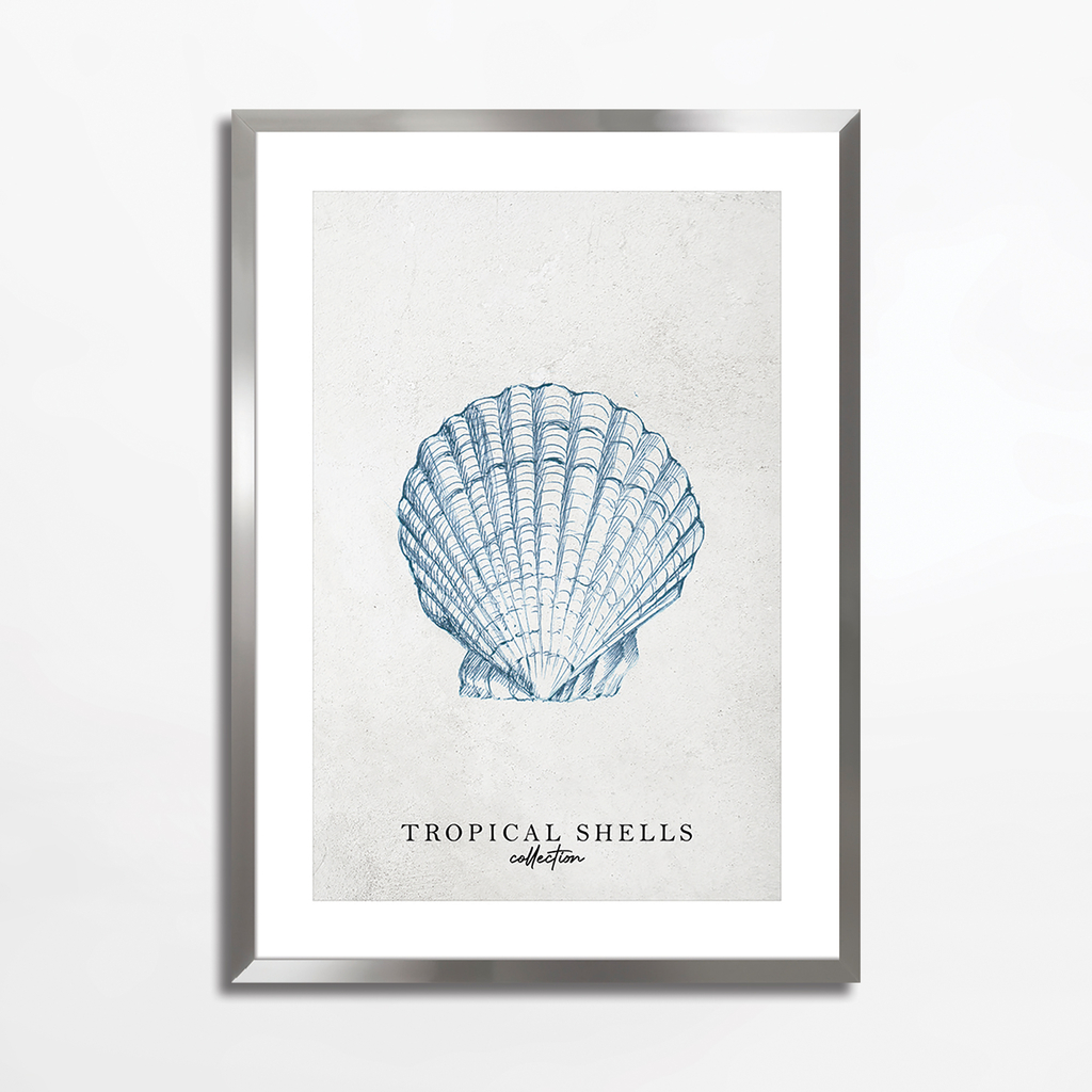 Maľba TROPICAL SHELLS II 50x70 cm