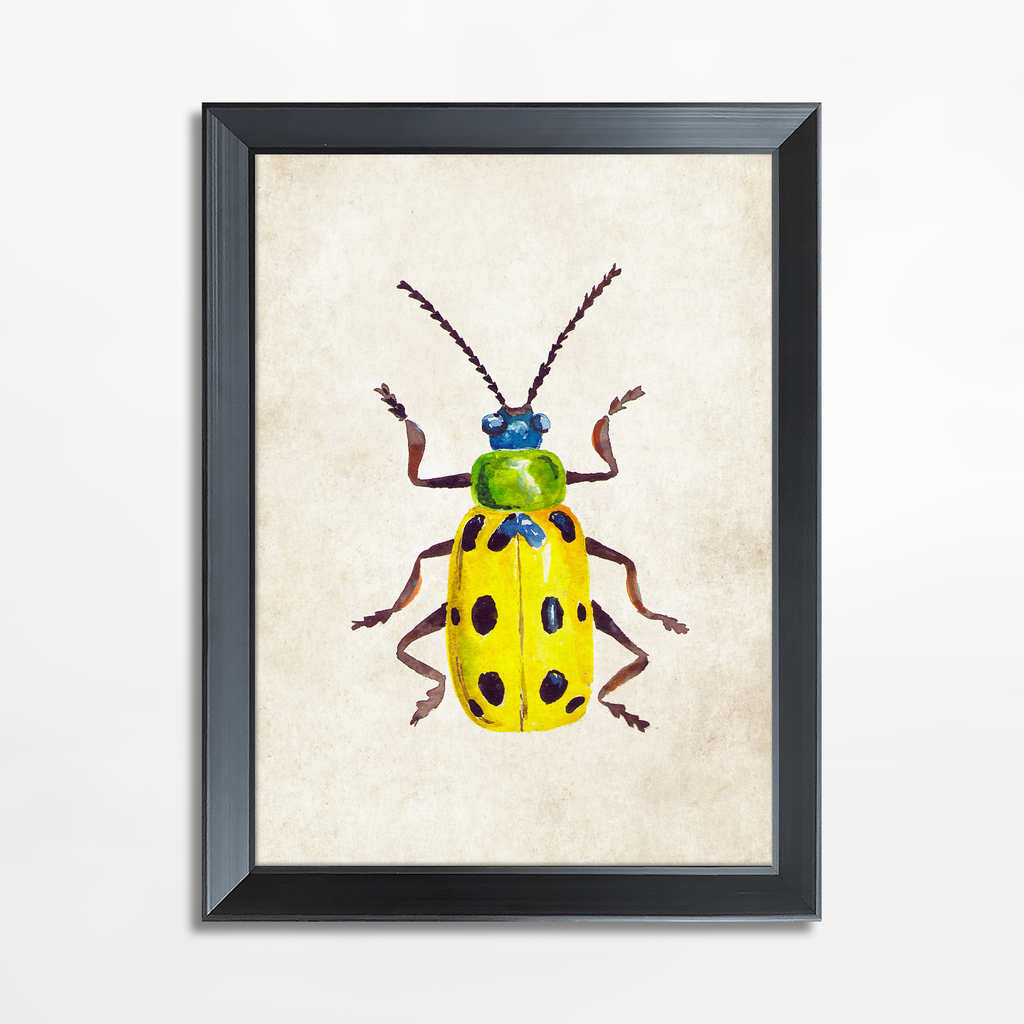 Maľba žltý hmyz BEETLE 21x30 cm