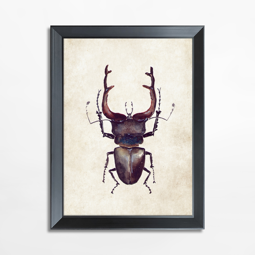 Maľba s hnedým hmyzom BEETLE 21x30 cm