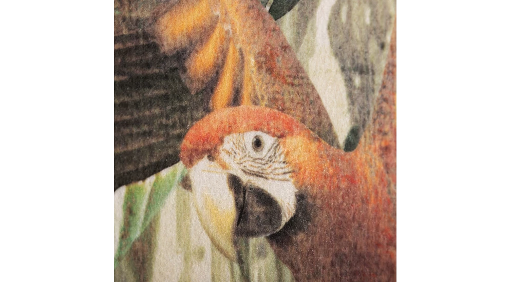 Nástenná maľba ACOUSTIC PARROT 90x120 cm