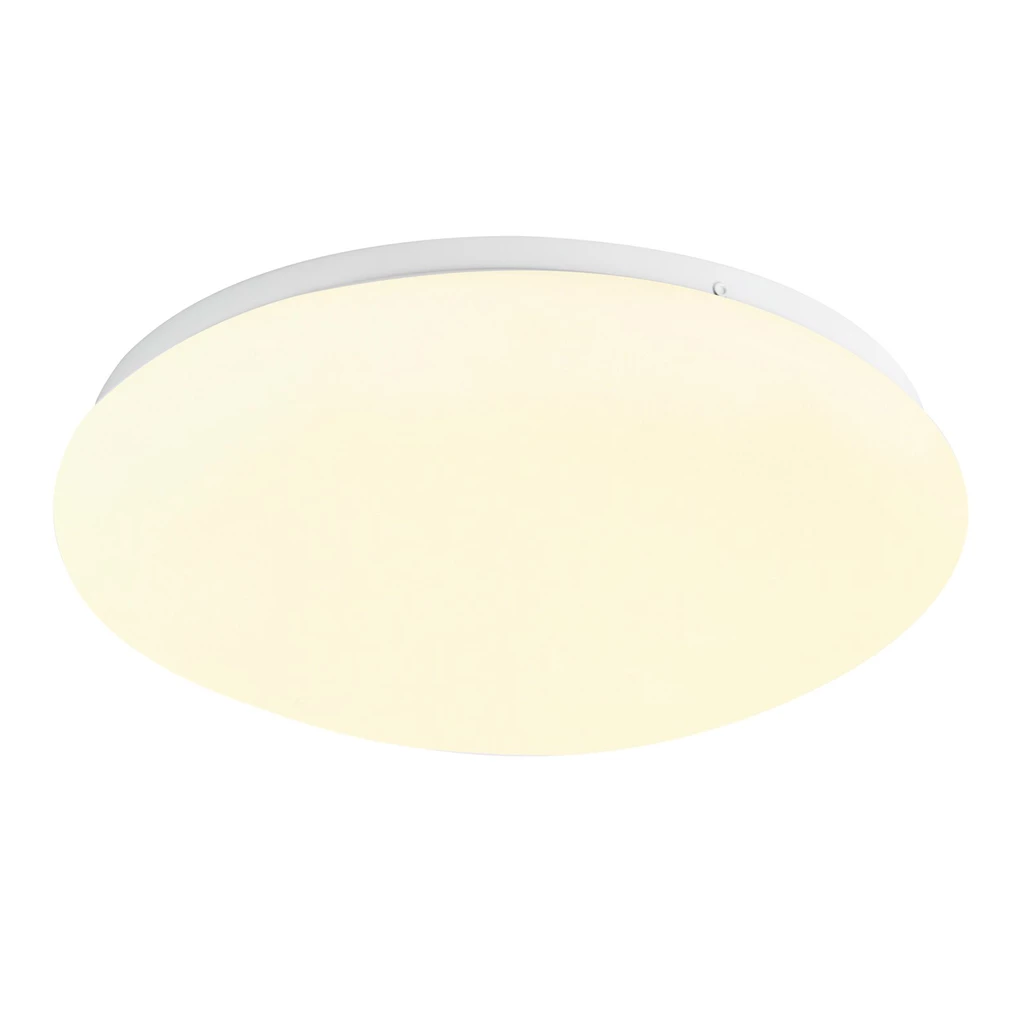 Stropné svietidlo CARPI LED RLX96437-1L