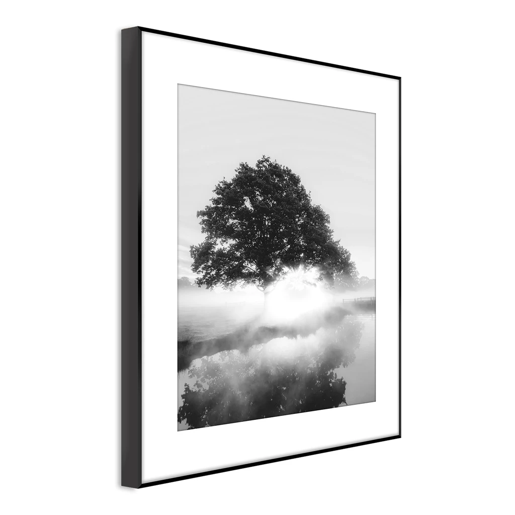 Obraz FOGGY TREE ARTBOX DIGI 50x70 cm