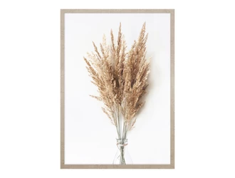 Obraz PAMPAS GRASS II 53 x 73 cm