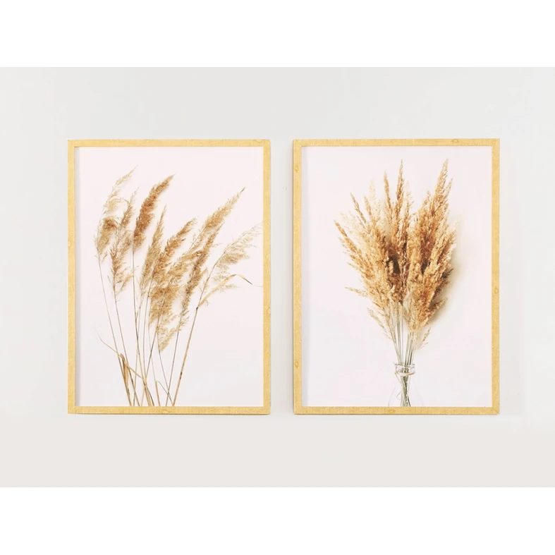 Obraz PAMPAS GRASS I 53 x 73 cm