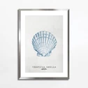 Maľba TROPICAL SHELLS II 50x70 cm