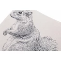 Dekoračná obliečka na vankúš SQUIRREL 45x45 cm