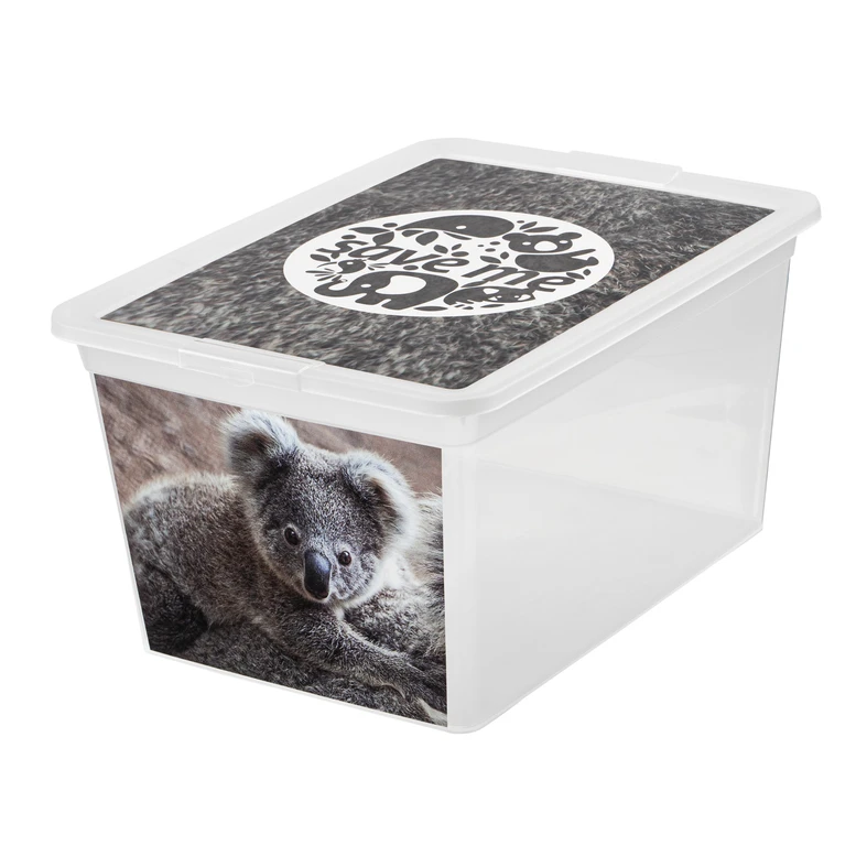 Box s vekom SAVE ME KOALA, 15 l