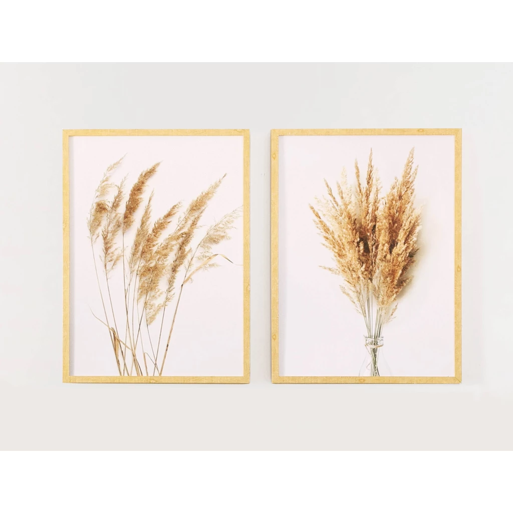 Obraz PAMPAS GRASS I 53 x 73 cm