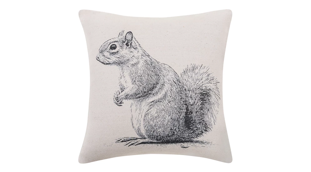 Dekoračná obliečka na vankúš SQUIRREL 45x45 cm