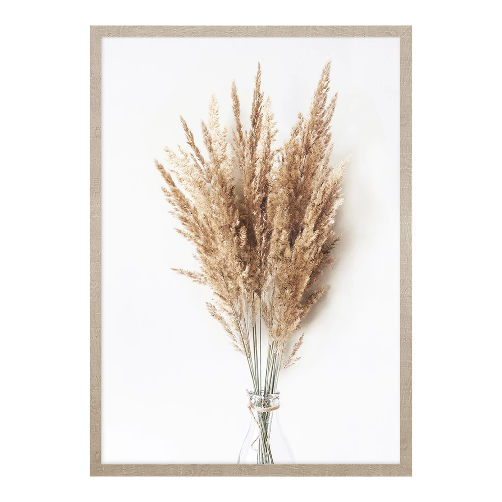 Obraz PAMPAS GRASS II 53 x 73 cm