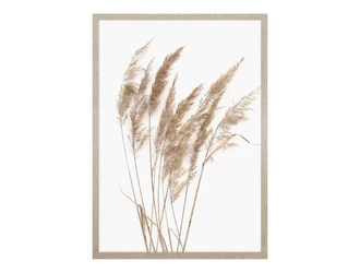 Obraz PAMPAS GRASS I 53 x 73 cm